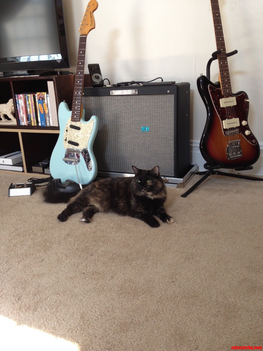 These Are a Few of My Favorite Things.