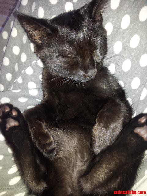 This Cannot Be a Comfortable Way to Sleep....