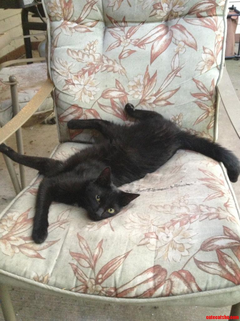 This Is Meemow
