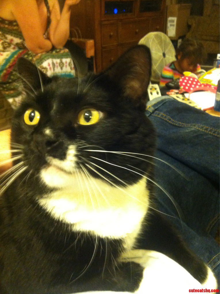 This Is Nibbler.