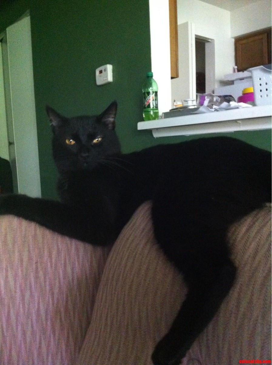 This Is Oliver