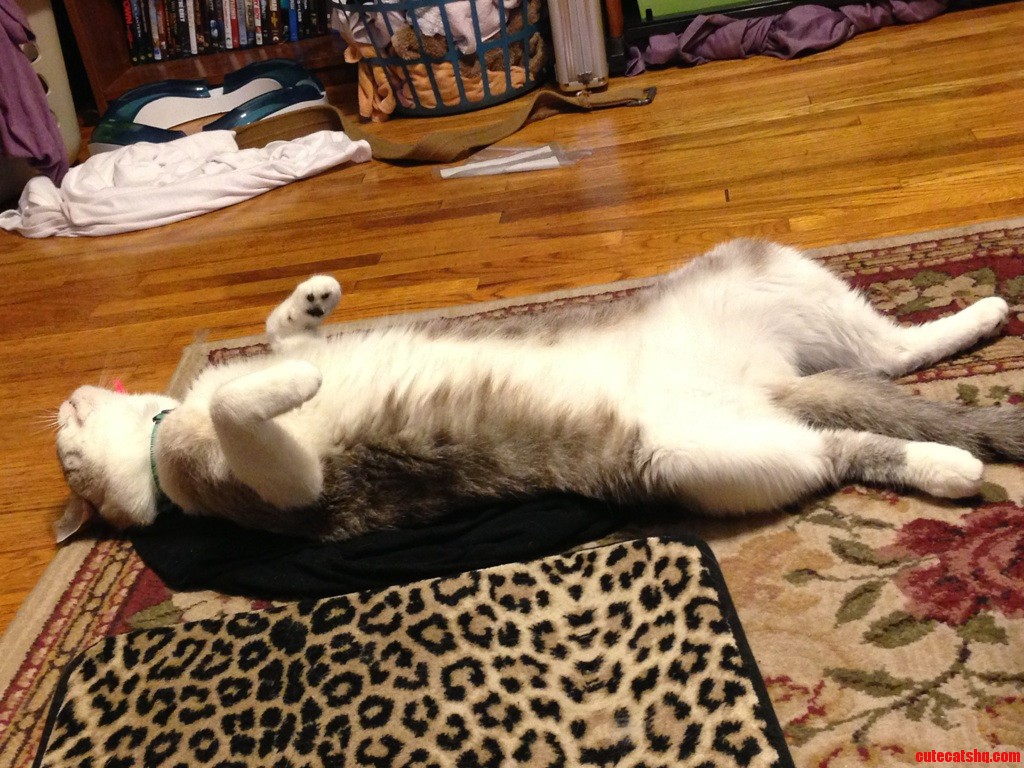 This Is Tired Rico After Playing