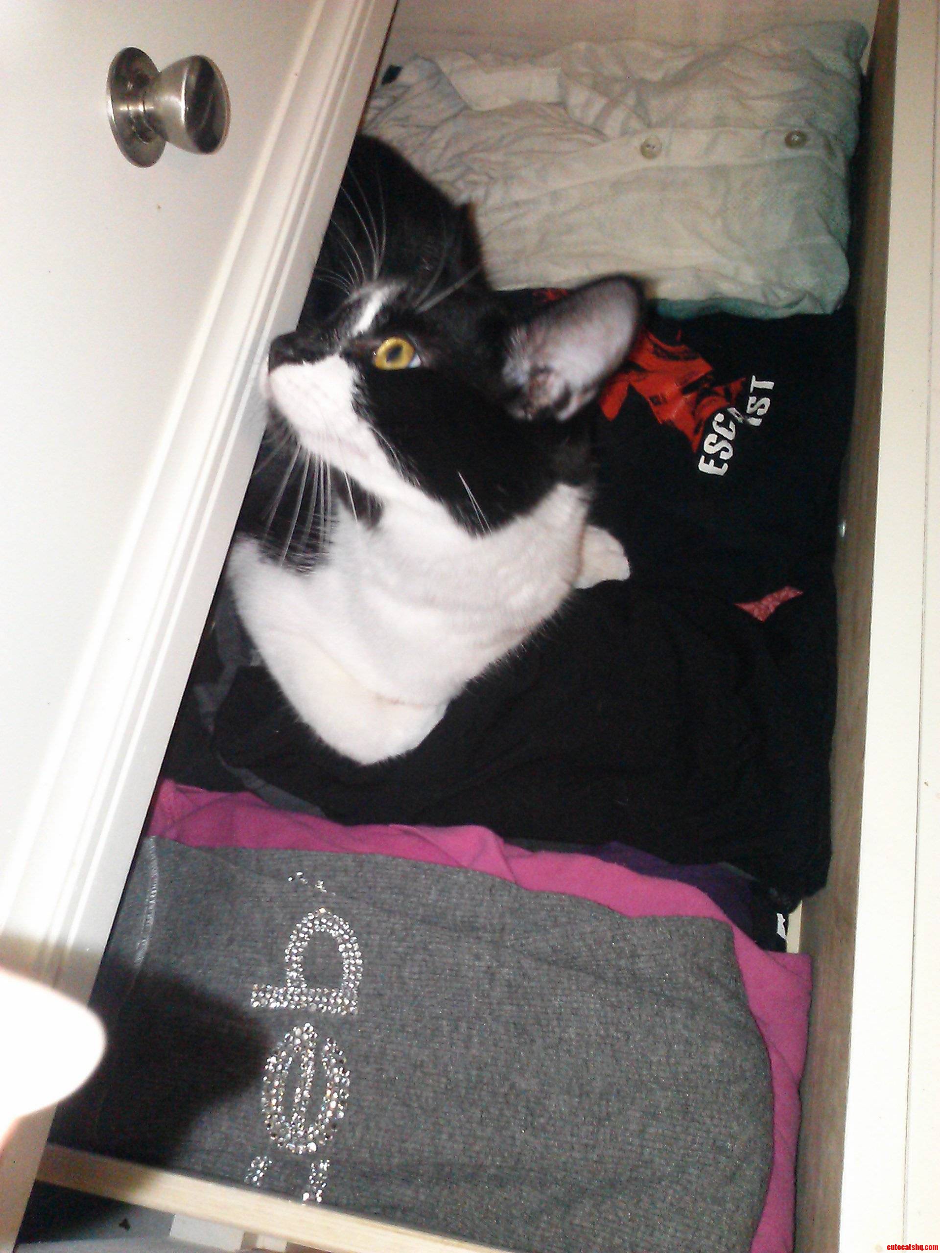 This Is What Happens Every Time I Try to Put Laundry Away.