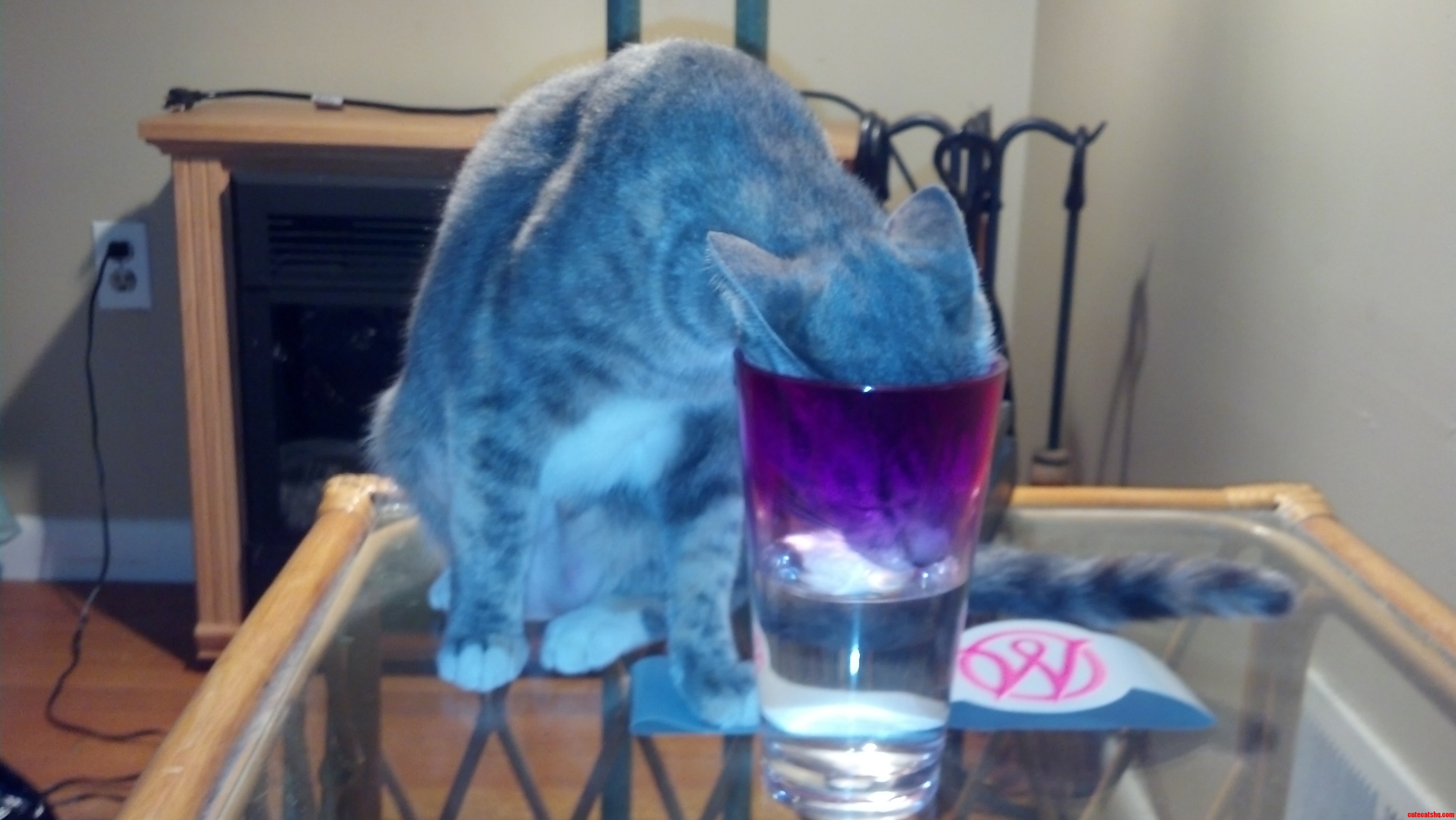 This Is Why I Cant Leave My Cups Unattended.