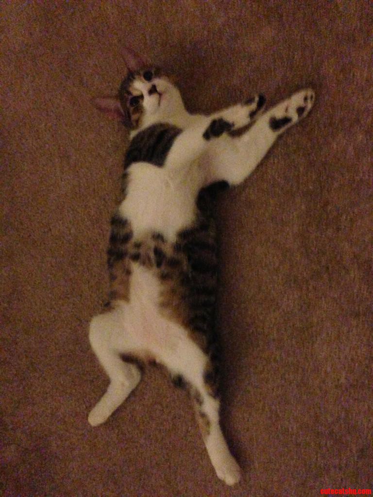 Thriller