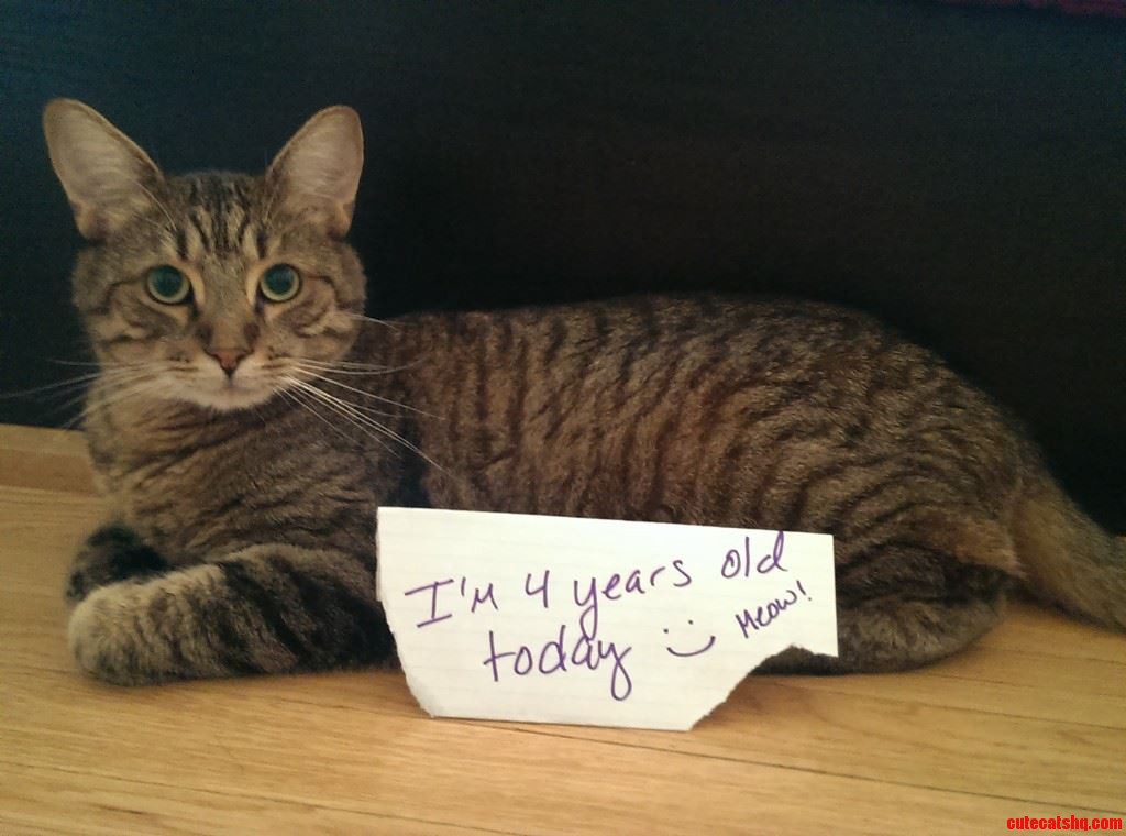 Today Is My Furry Sidekick S Fourth Birthday