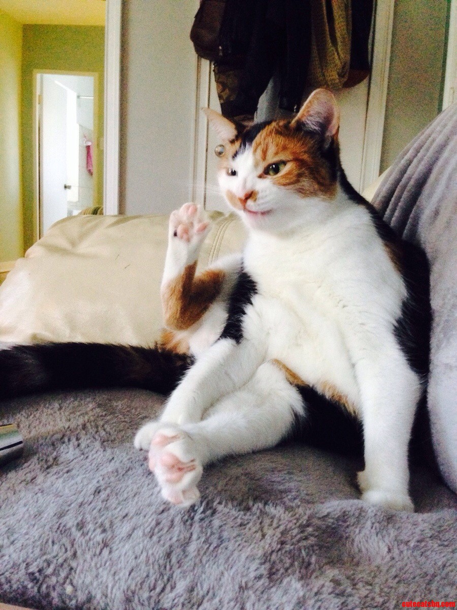 Took This Picture at the Perfect Moment. That Face