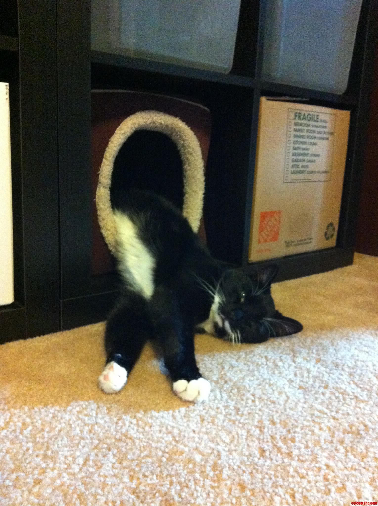 Ultimate Laziness