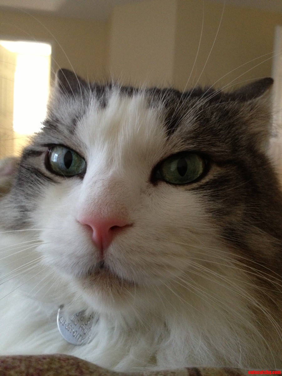 Up Close and Personal.