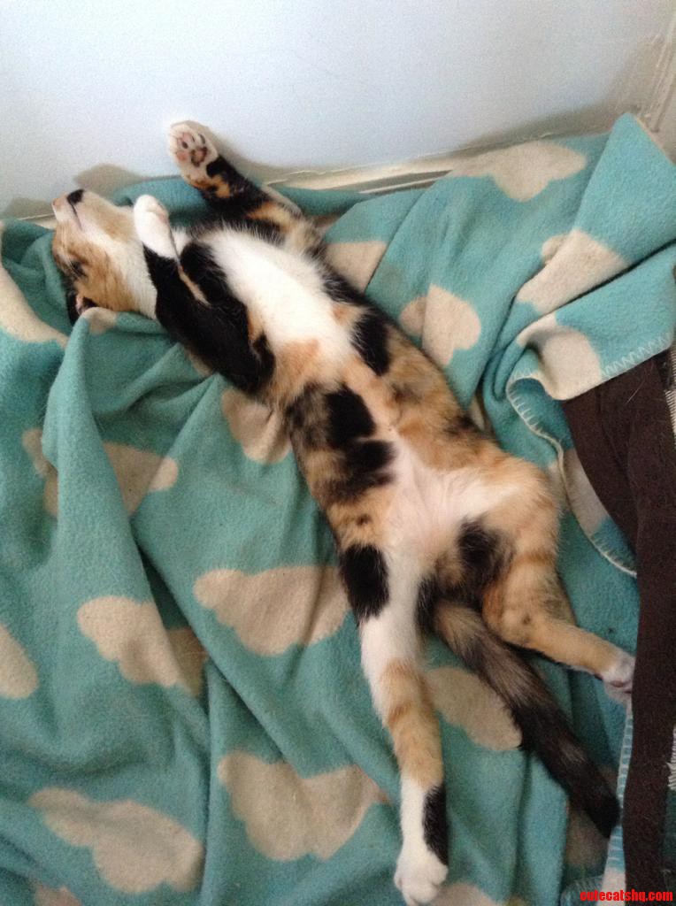Walked in and Thought She Was Dead for a Moment.