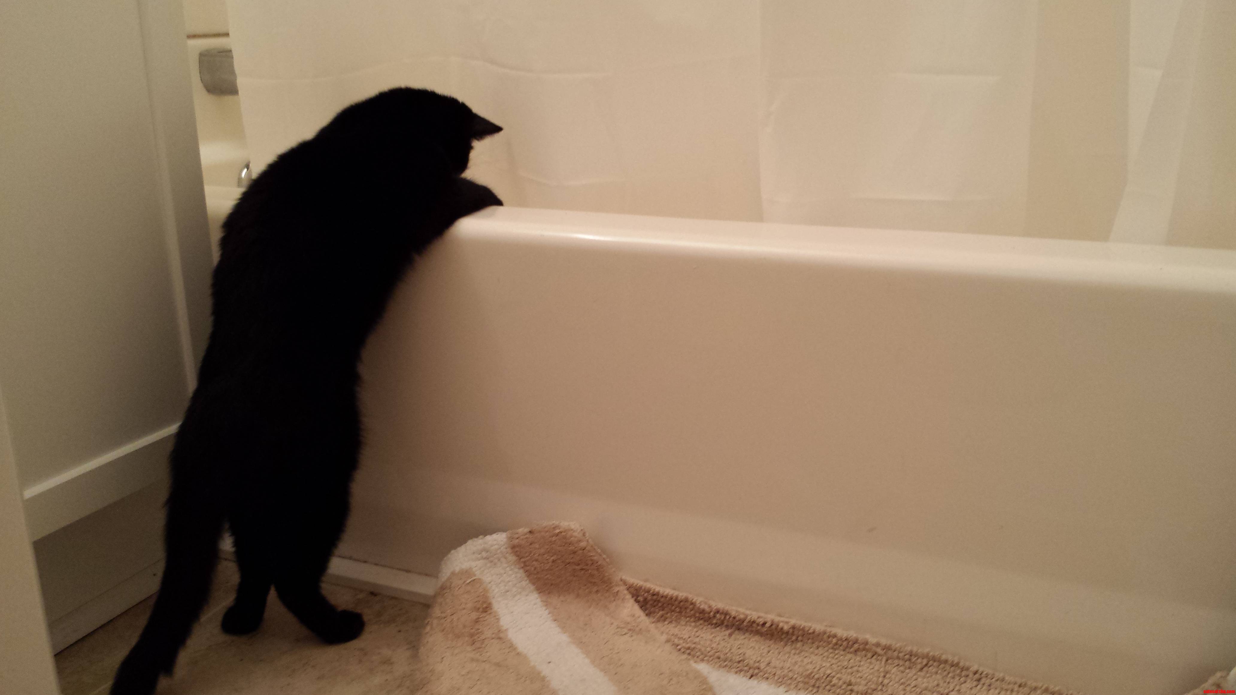Walked in on Thisand She Stayed There for Several Minutes. I Have No Idea What She Was Looking At.