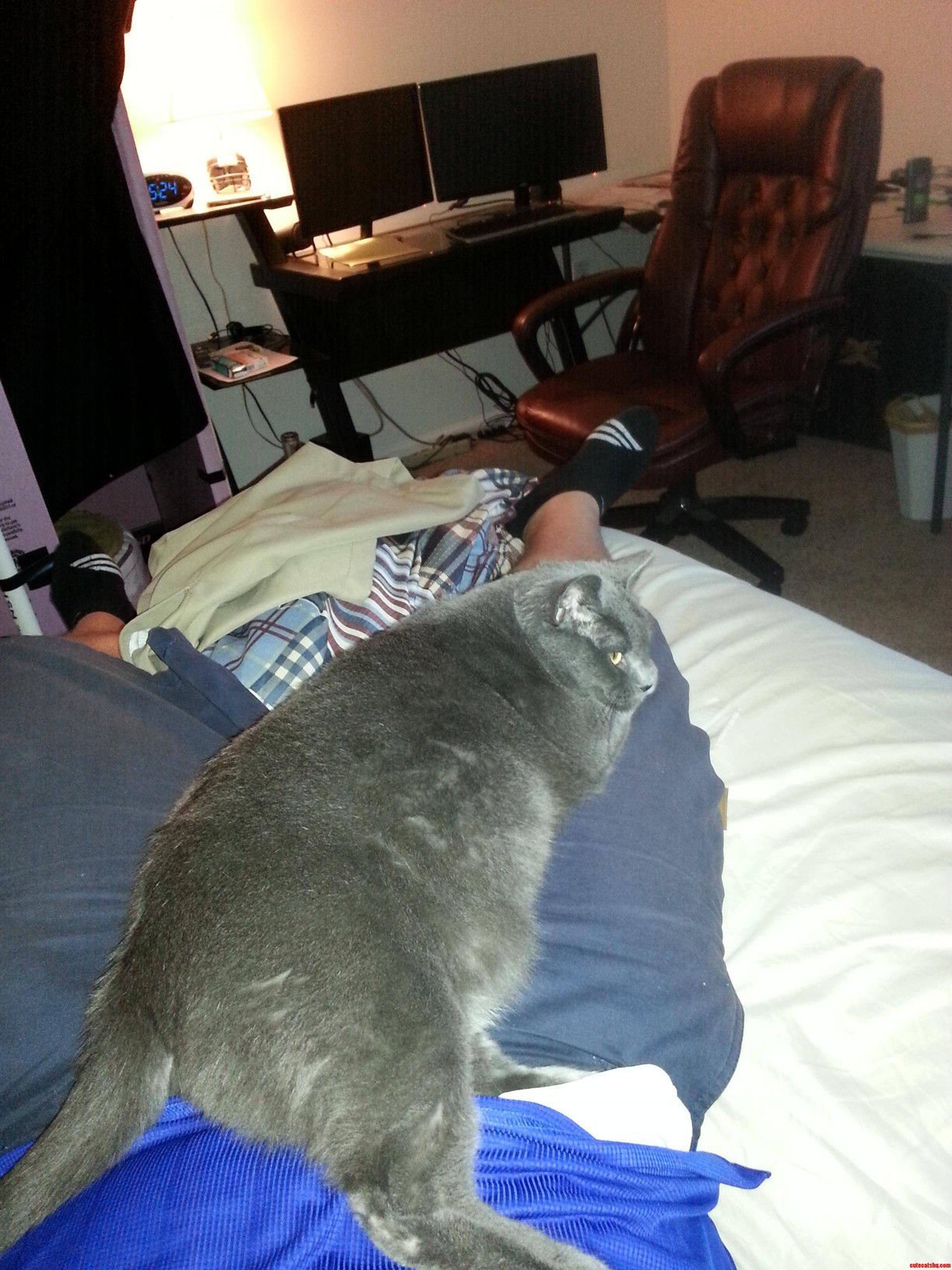 We Do This for About a Half Hour Every Day After Work