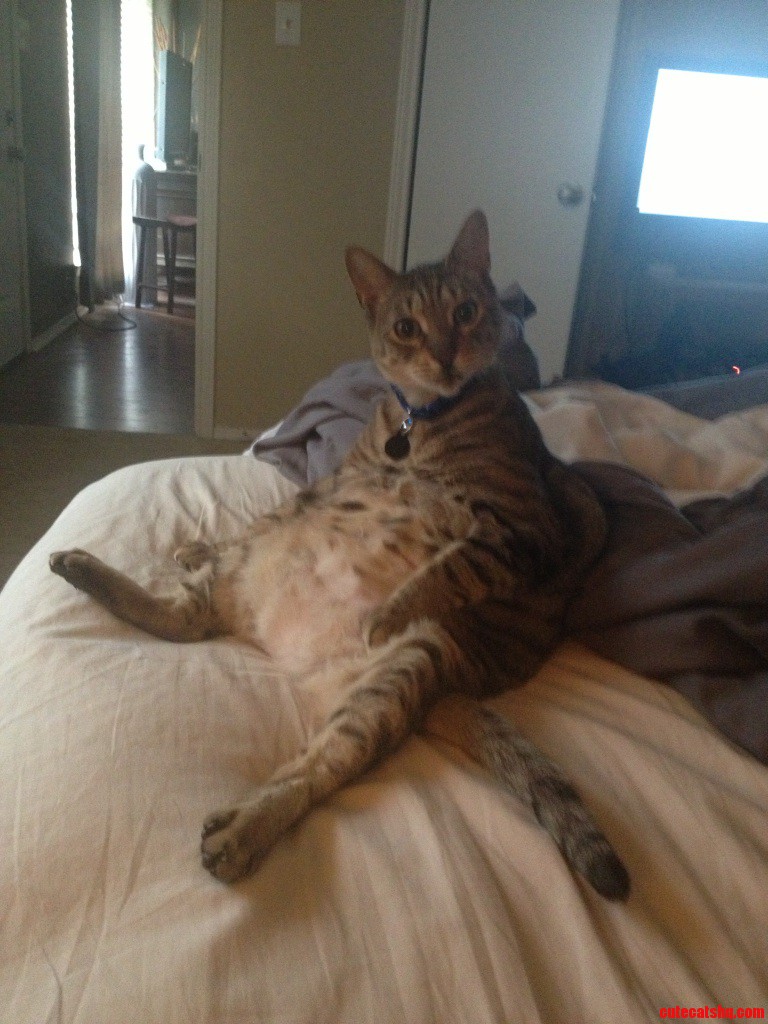 What I Wake Up to This Morning. Cute Jack