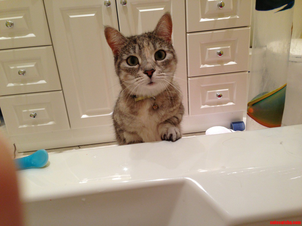 Whatcha Doing