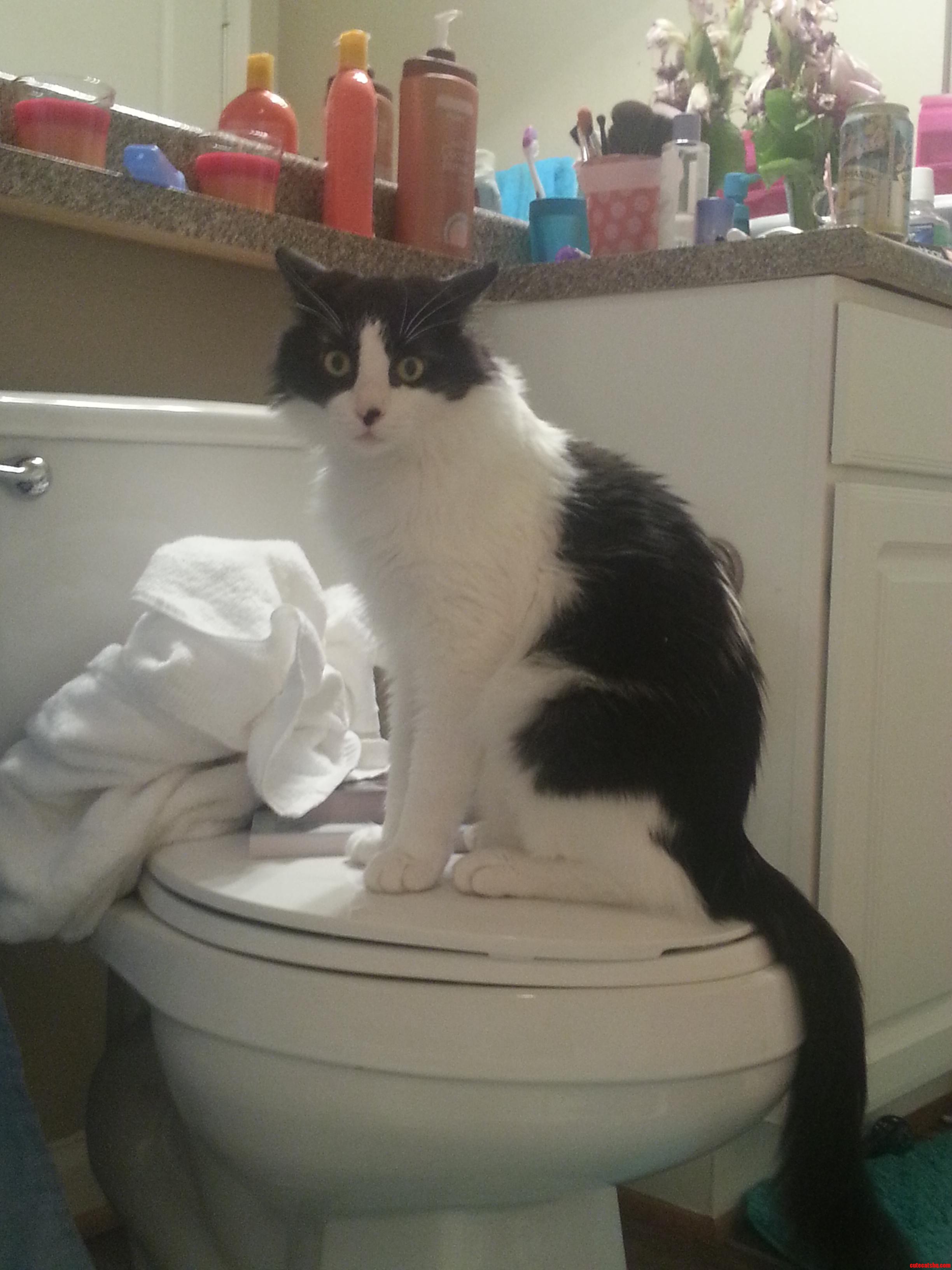 Whenever We Bathe  Jozy Acts As Our Bodyguard.
