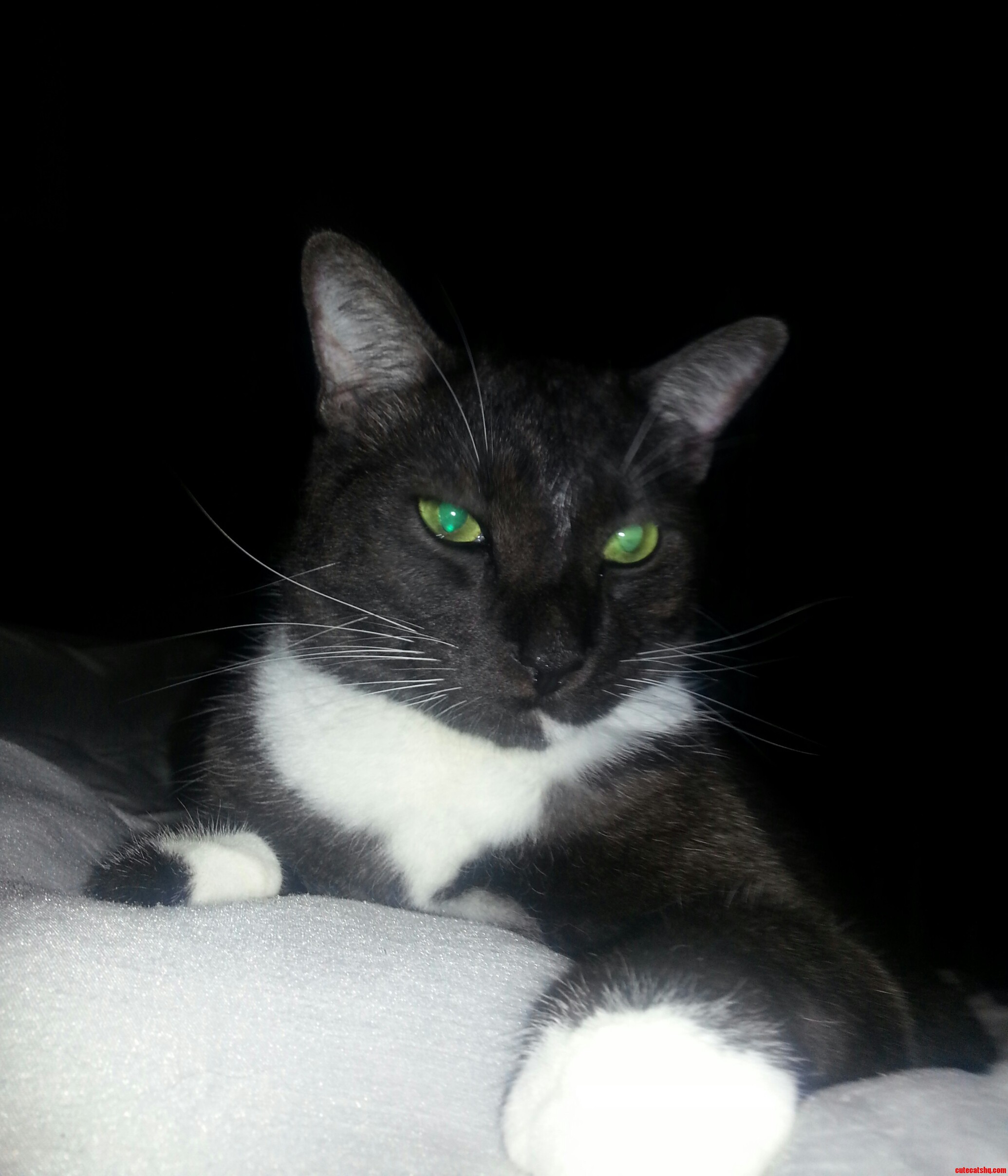 Why Hello There...