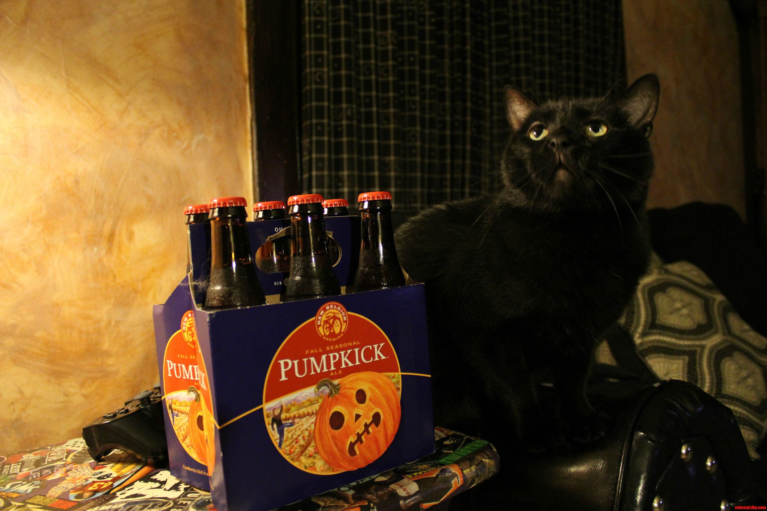 Wylde Next to Pumpkick New Belgium Fall Seasonal Ale