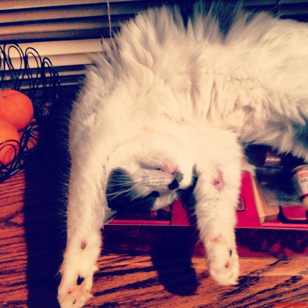 Yes  She Actually Sleeps Like This