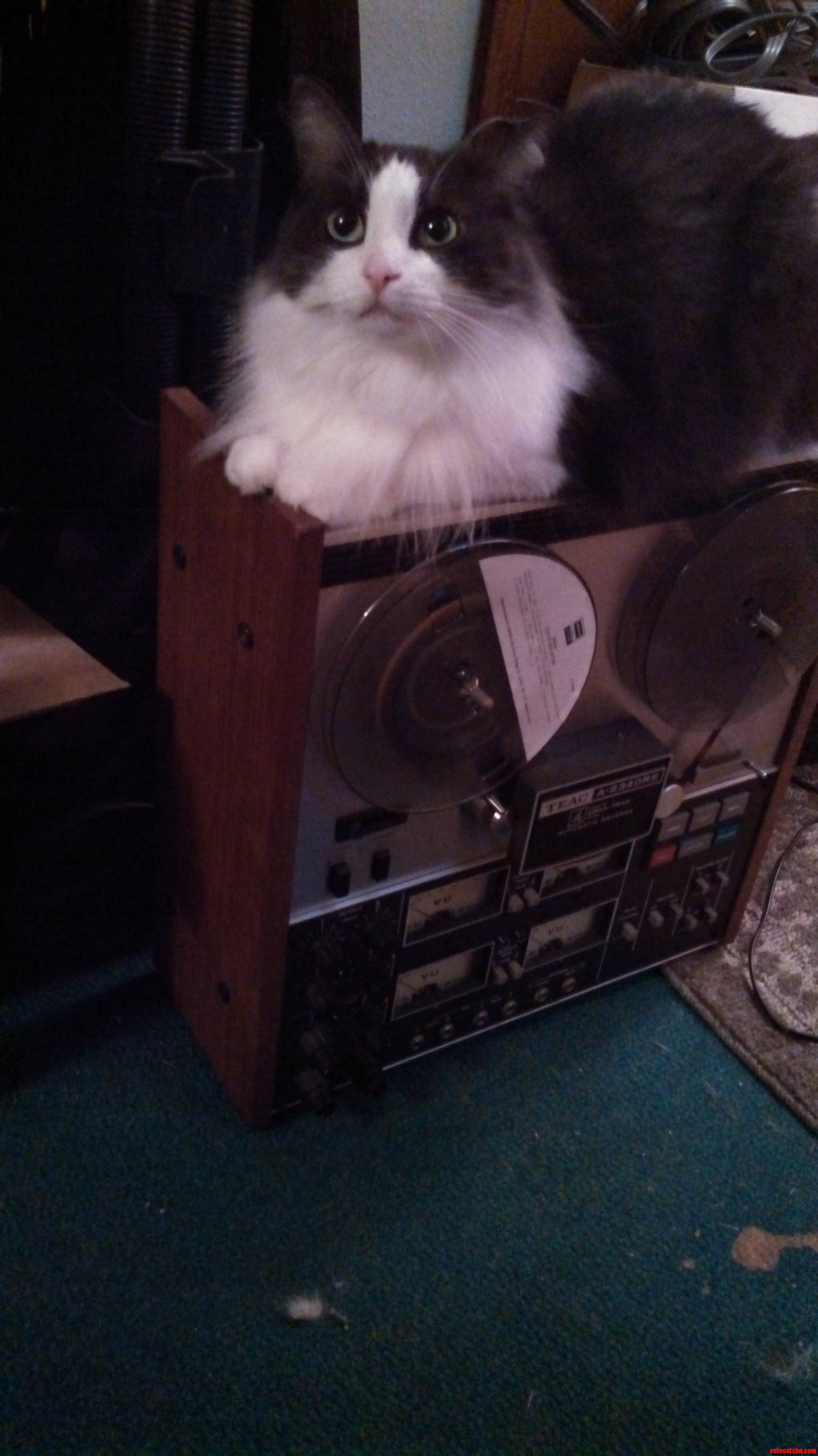You Set Something Expensive and Delicate on the Floor for Five Seconds Let Me Just Sit on That for You.