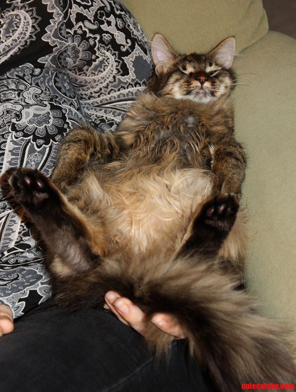 A Year Ago Today My Boyfriend and I Adopted This Ridiculous Ball of Fur...
