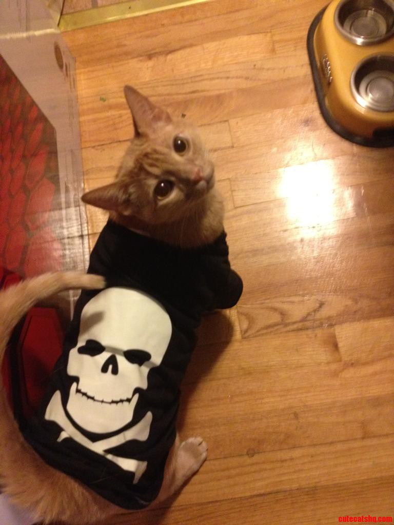 Booooo Im a Spooky Skeleton He Hates His New T-shirt