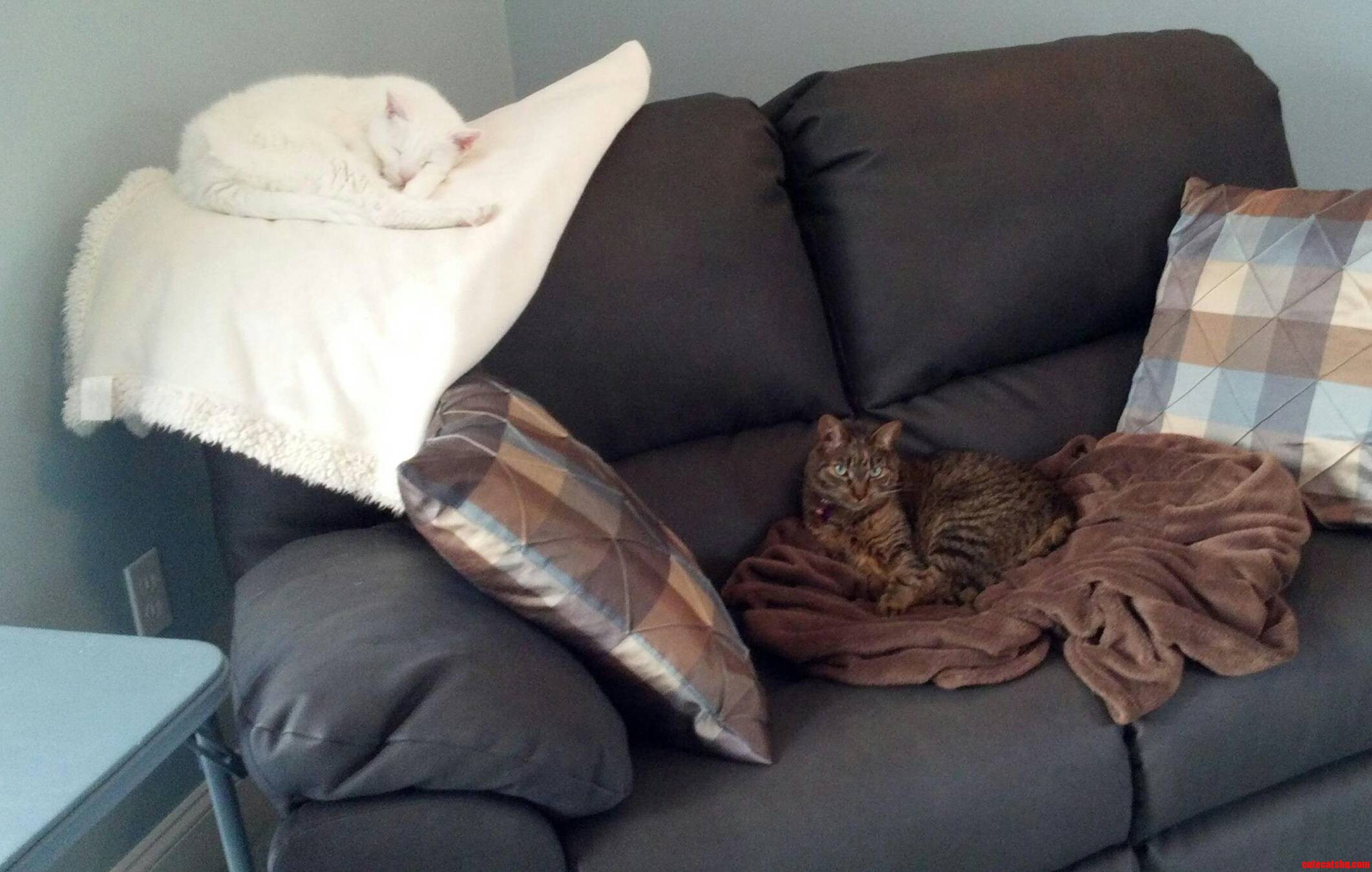 Camouflage