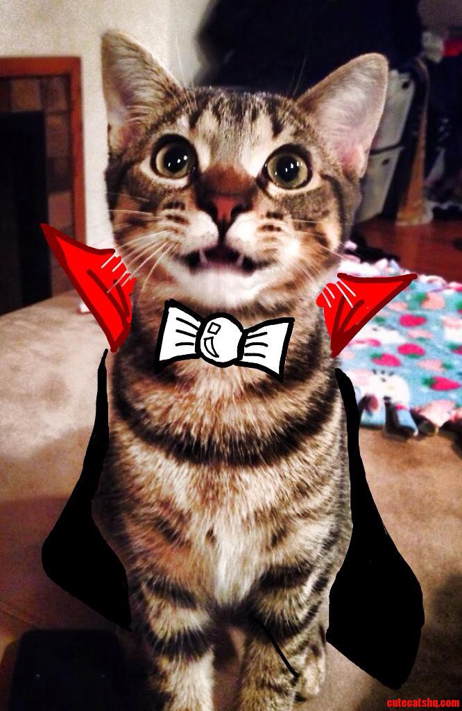 Count Catula