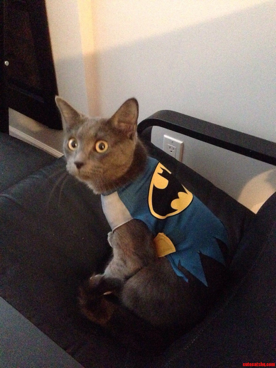 Crime Fighter Busted in the Act.