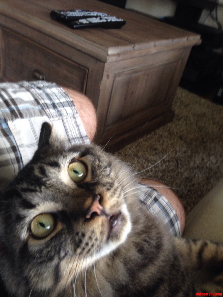 Derp