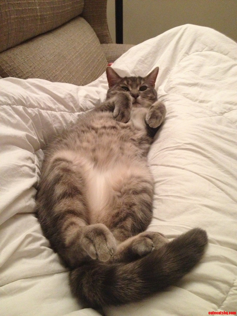 Dont You Just Want to Rub That Belly