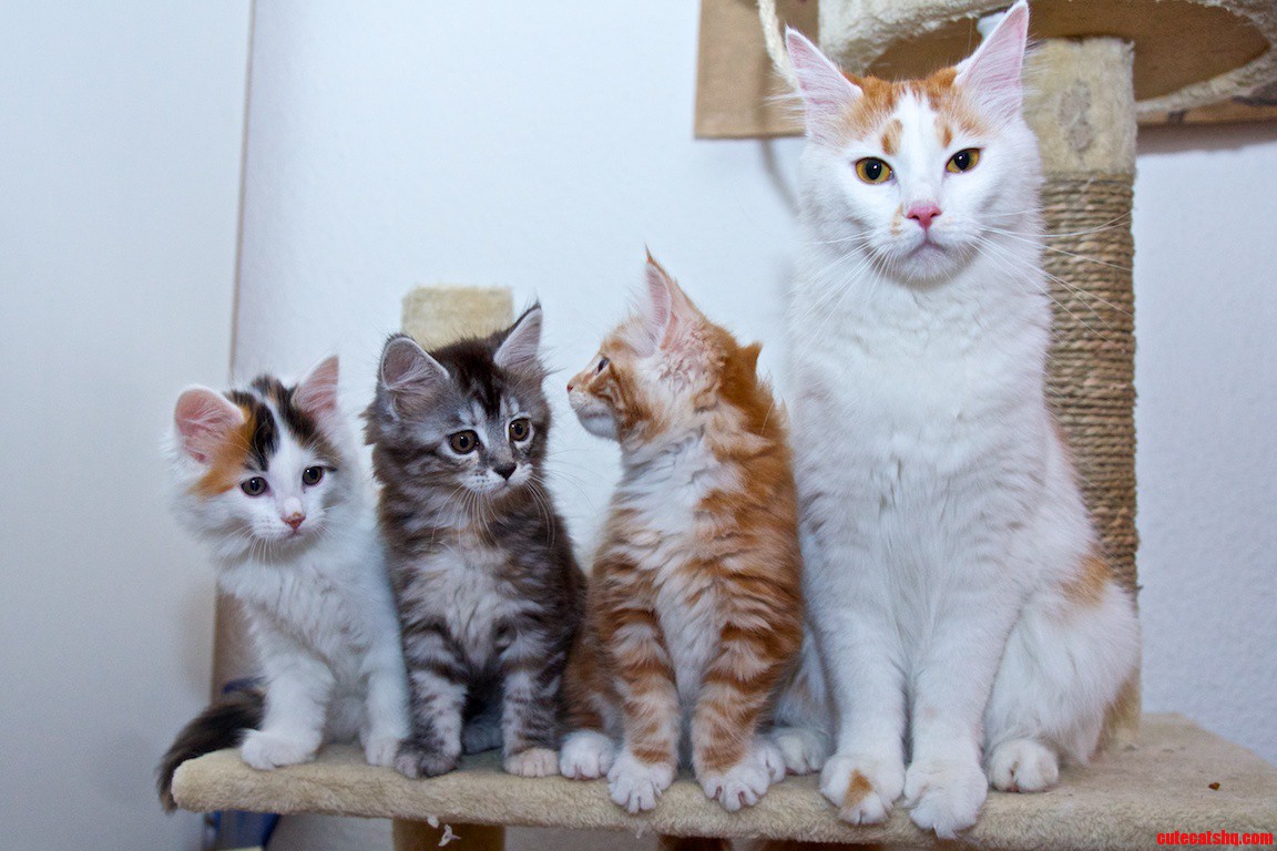 Family Portrait