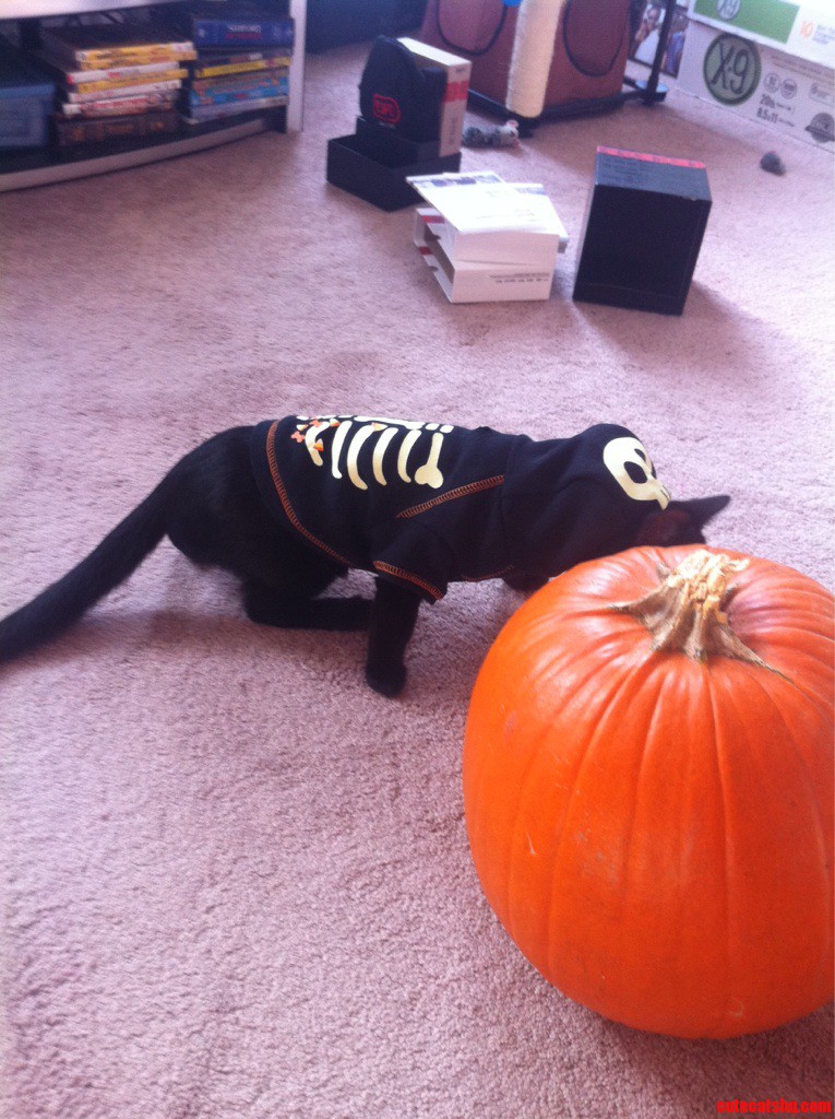 Happy Halloween
