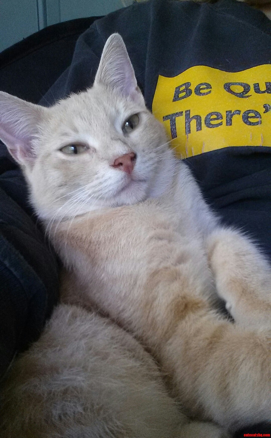 Happy Snuggled in Mommys Arm.