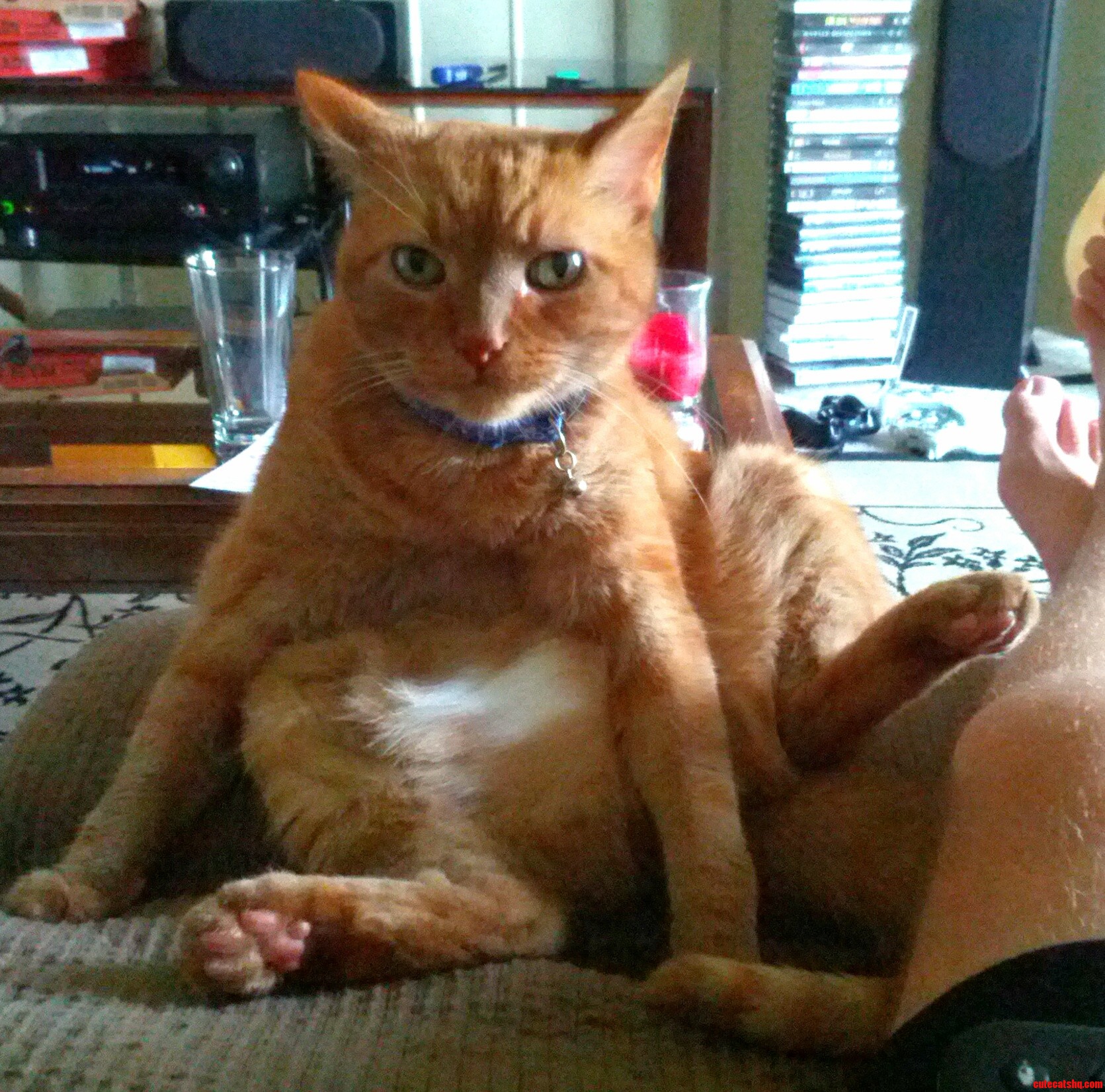 He Has a Way with the Ladies.