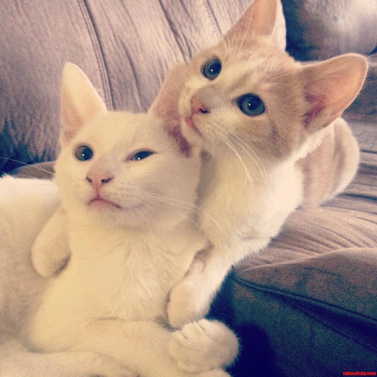 He Just Couldnt Help but Make a Funny Face During the Family Photo Shoot.