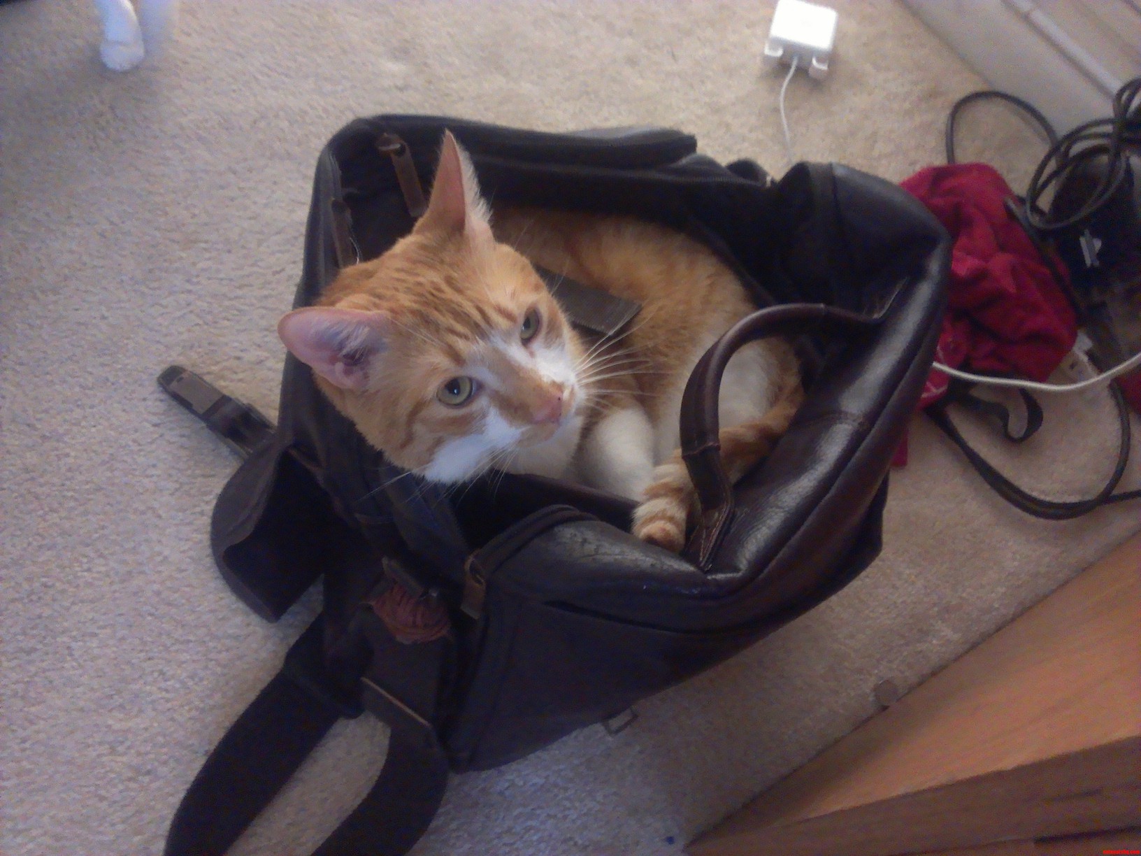 How Bout I Go to School with You Today
