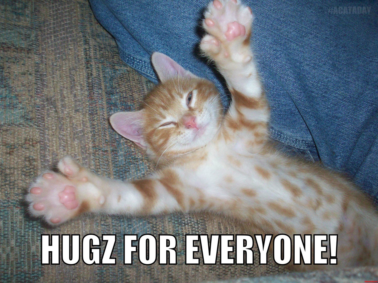 Hugs for Everyone