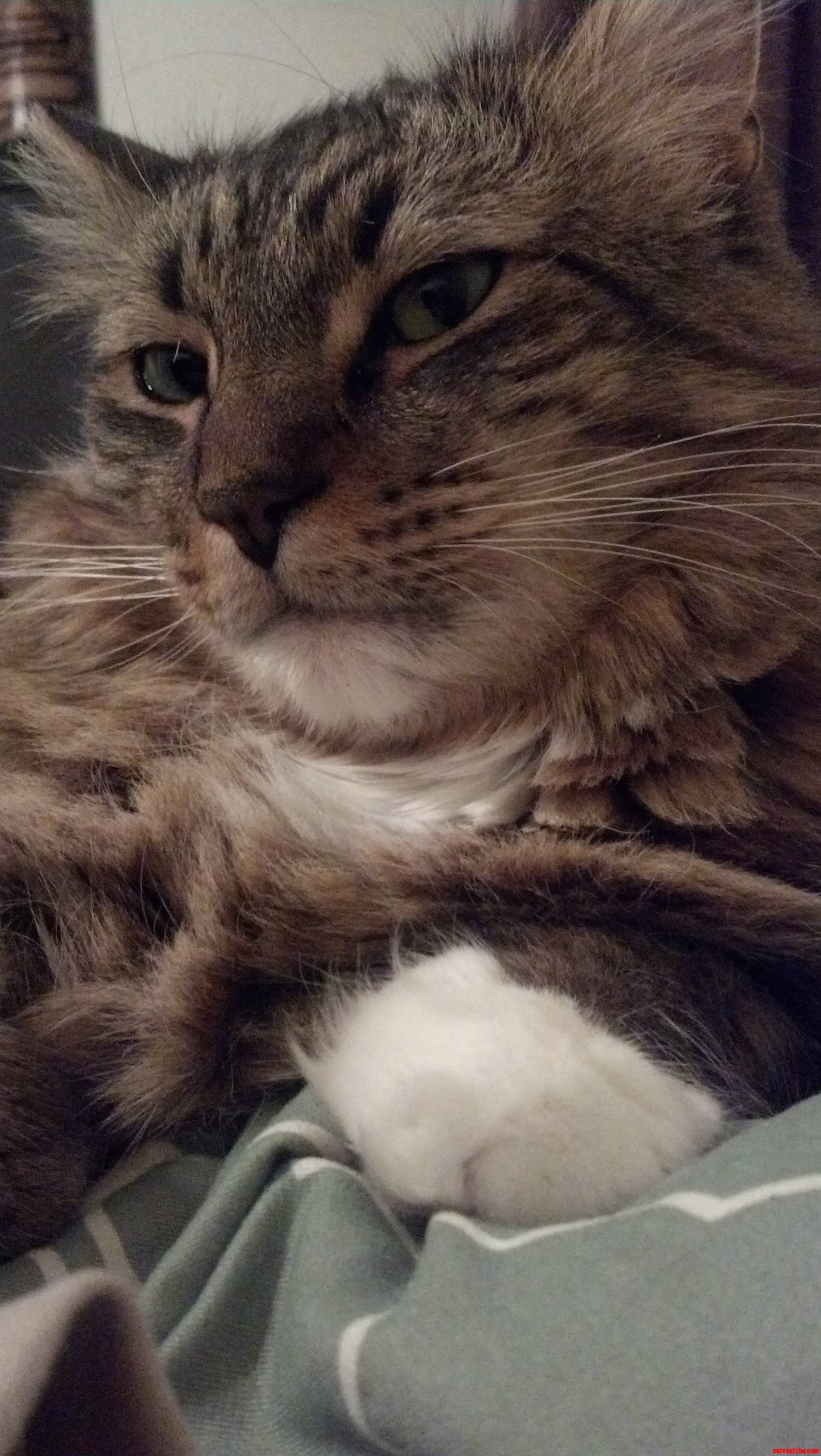 I Guess He Didnt Want His Picture Taken
