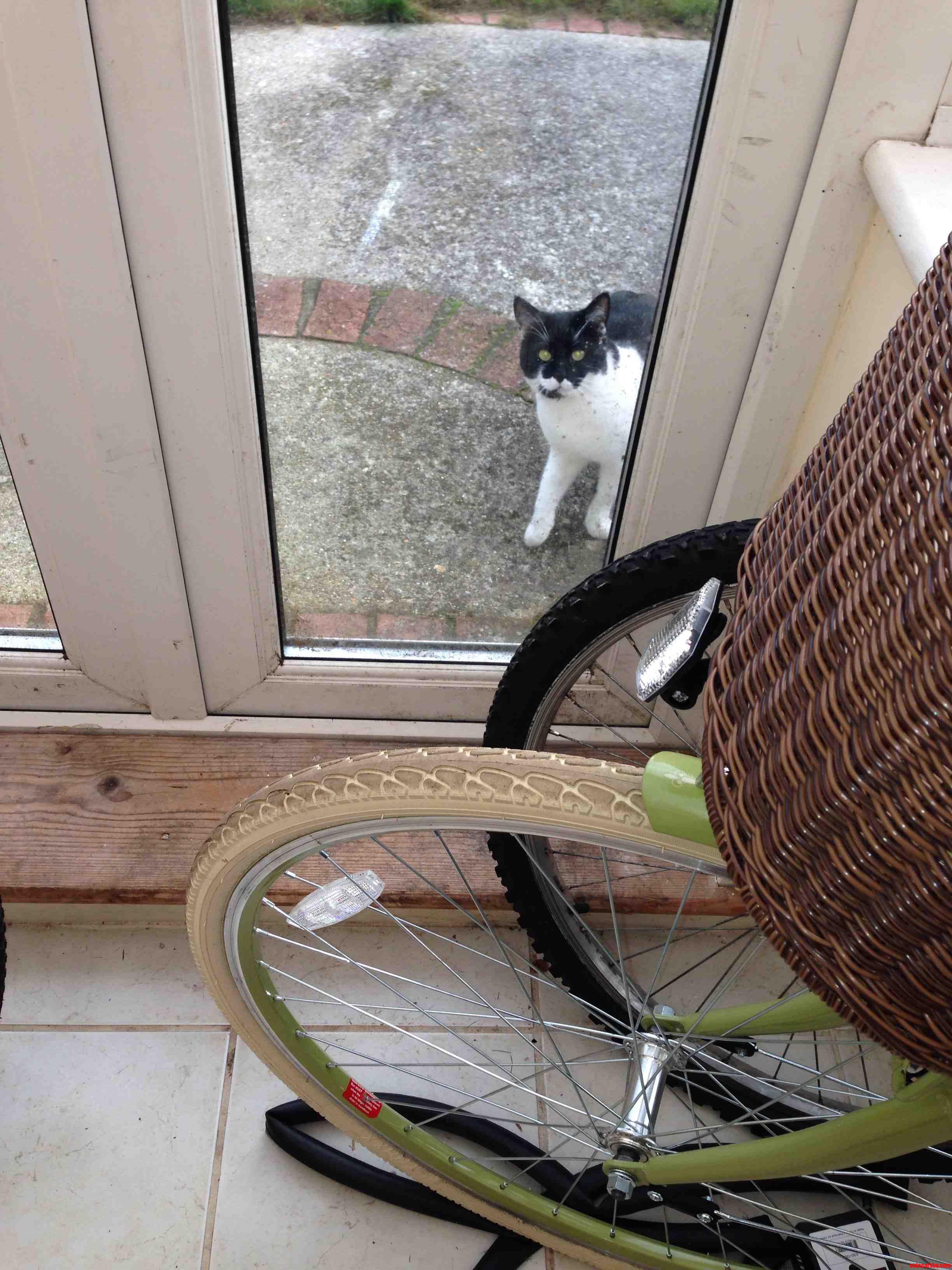 I Just Wanted to Get My Bike...