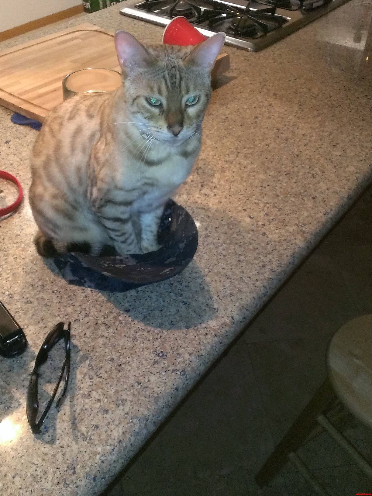 If I Fits...