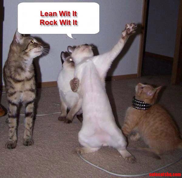 Kitty Disco