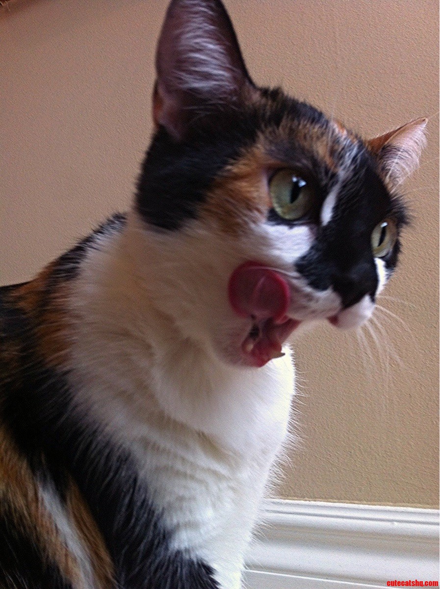 Lick