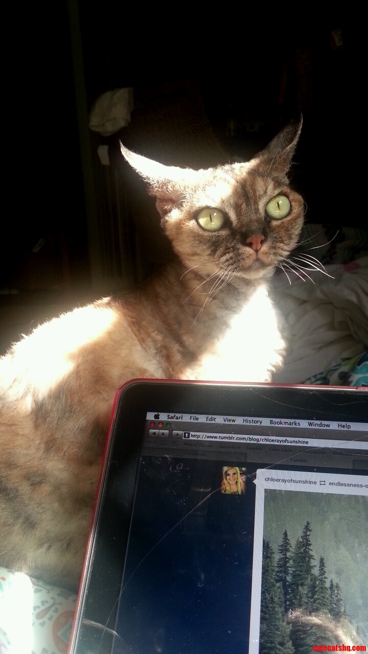 Look at Those Eyes