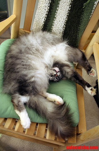 Looks Comfy.