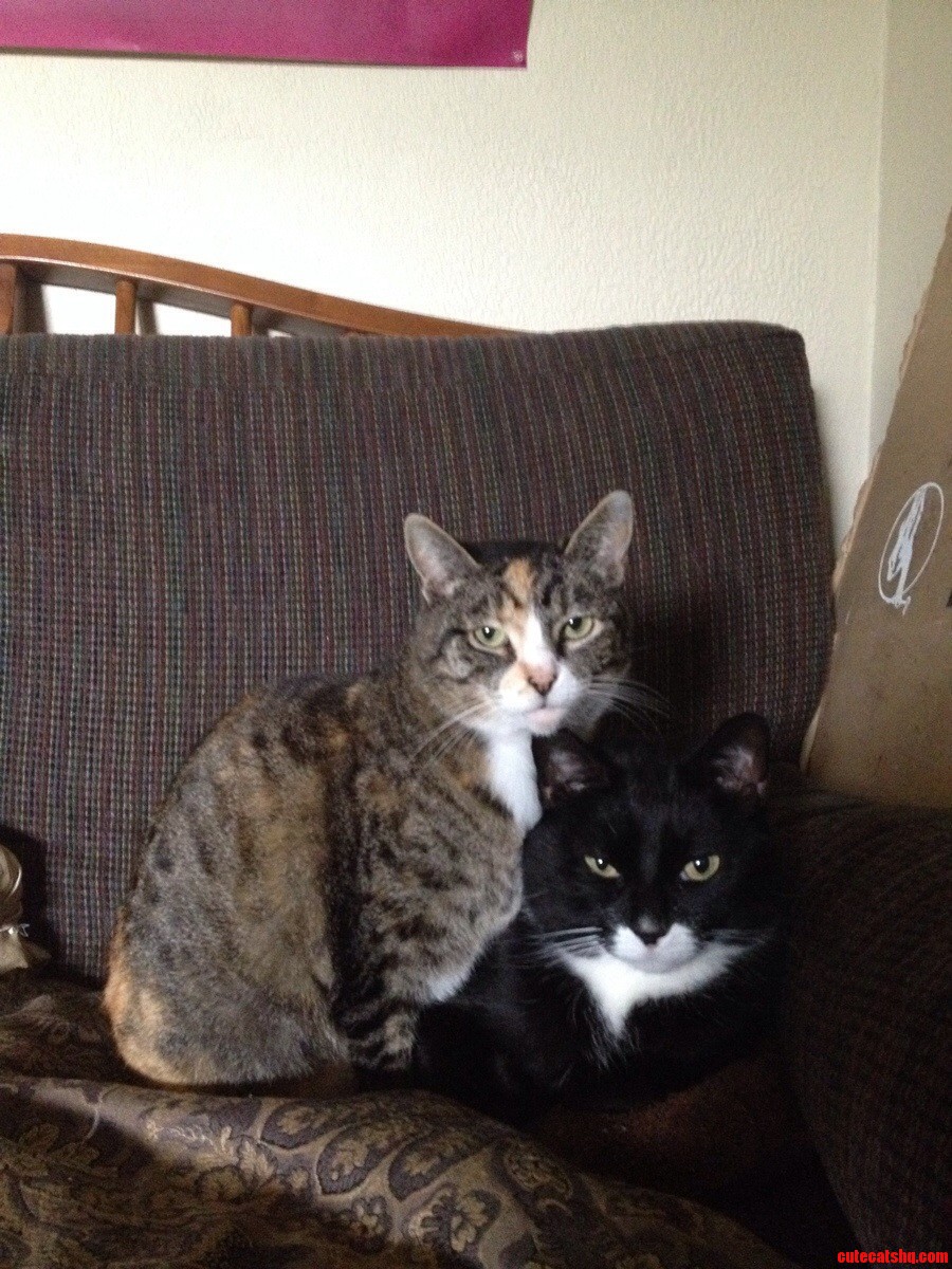 Meet Dove and Lucas.