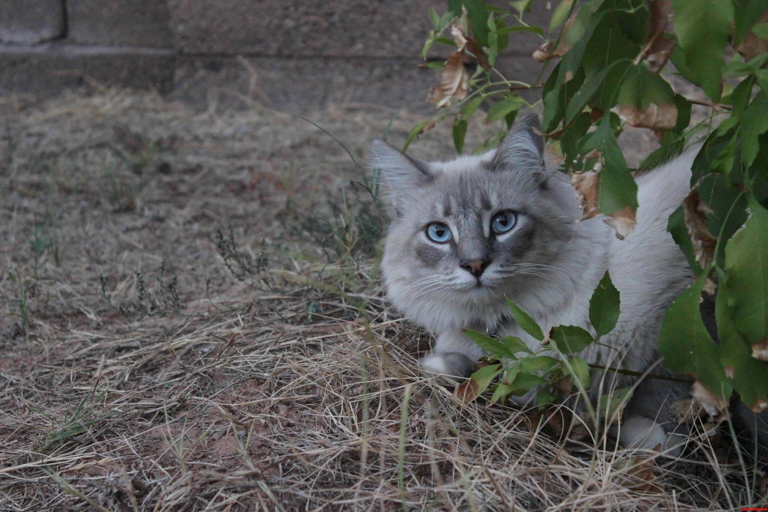 Meet Sonny.
