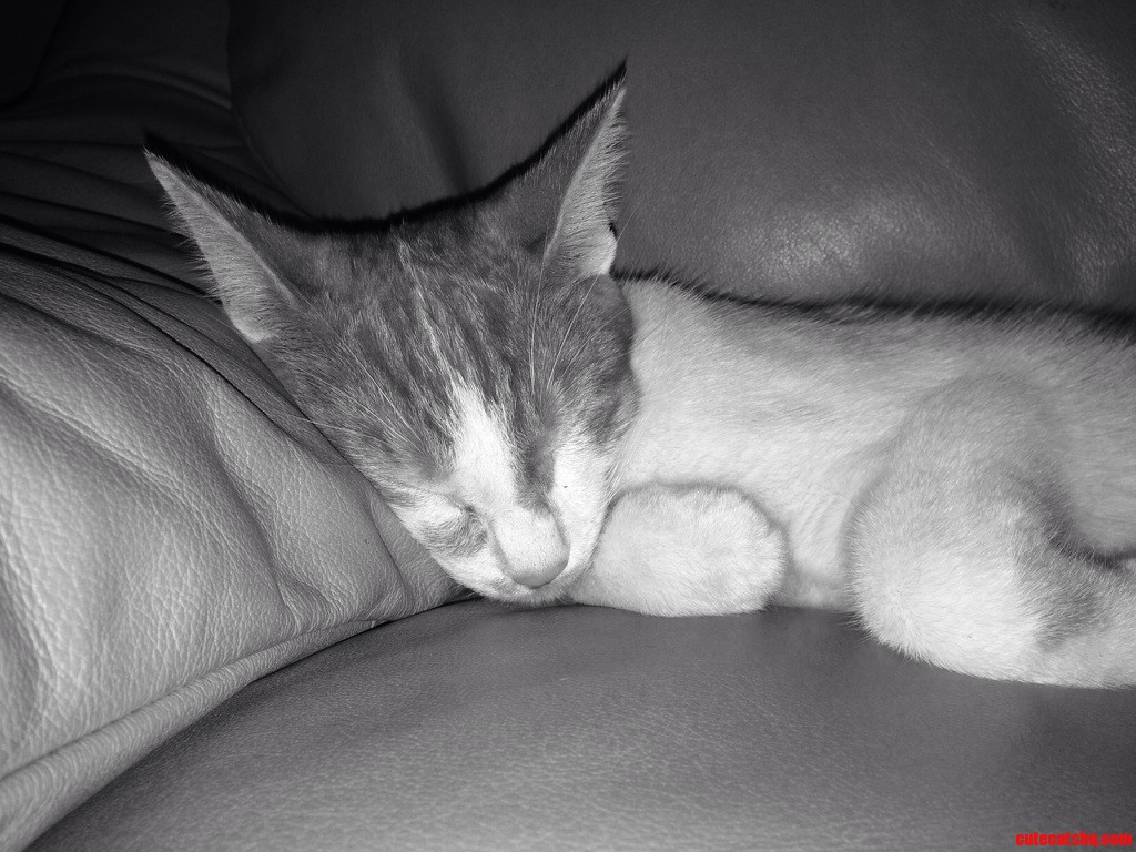 My Baby