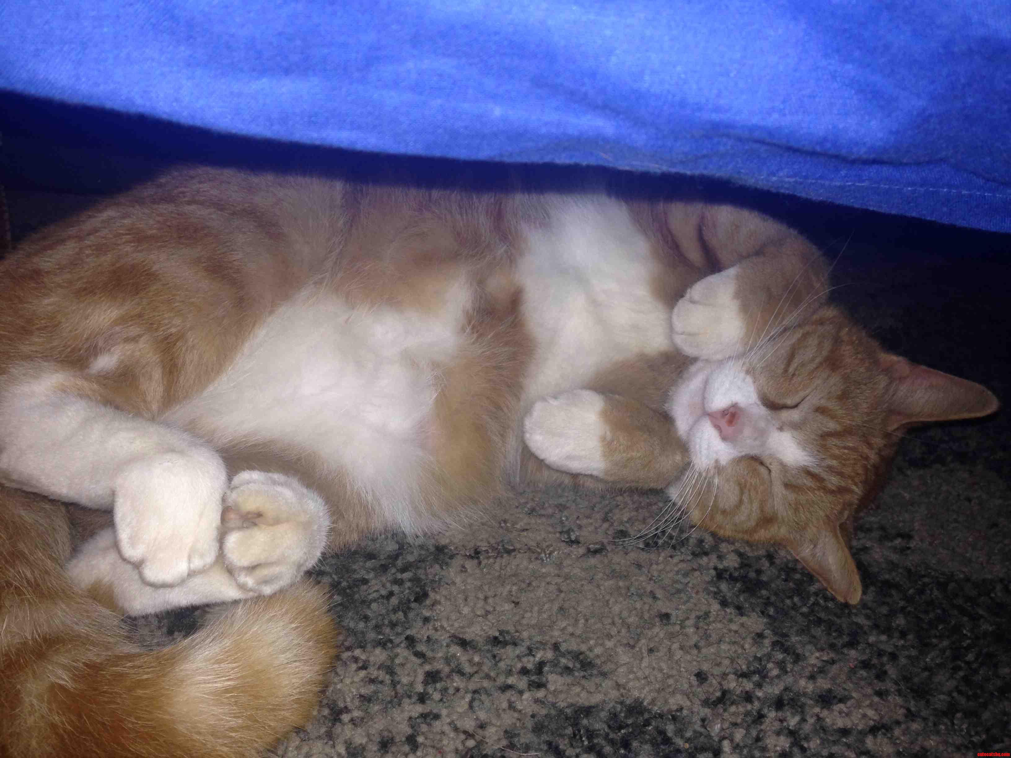 My Big Boy Oliver Taking a Nap -