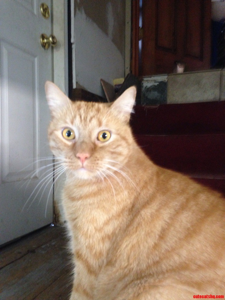 My First Post Dedicated to My Boy Pierre