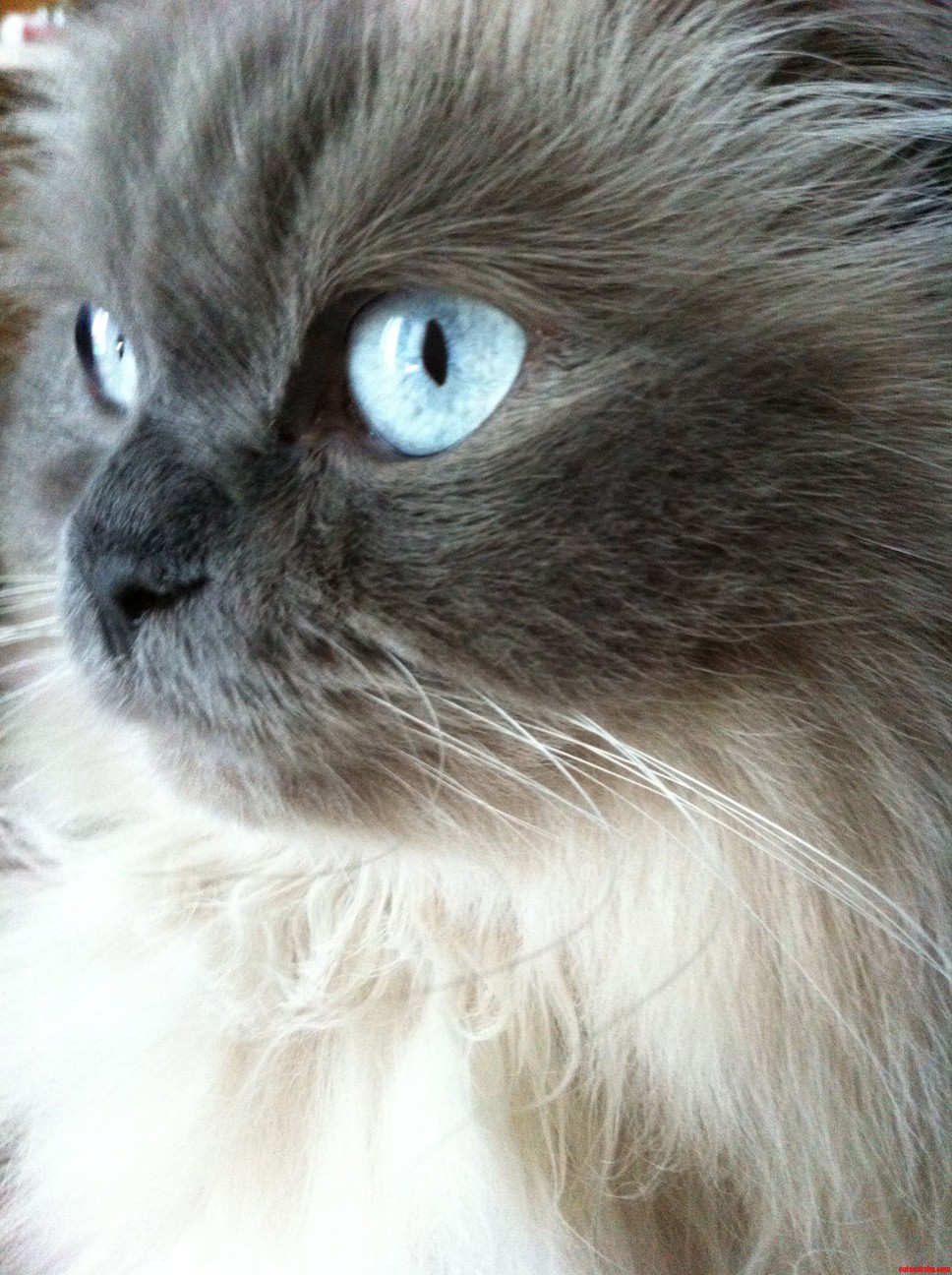 My Handsome Man Looking Out the Window